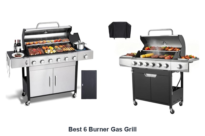 best 6 burner gas grill