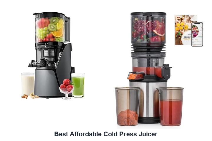 best affordable cold press juicer