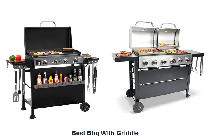 best bbq with griddle​