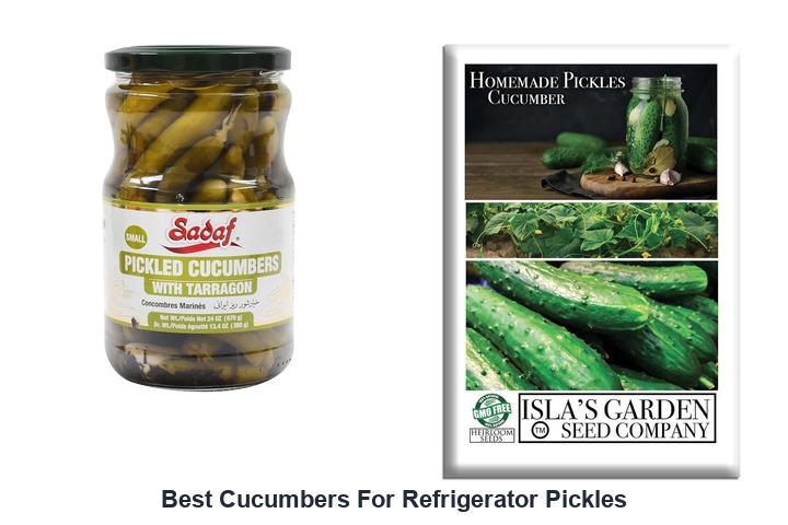 best cucumbers for refrigerator pickles