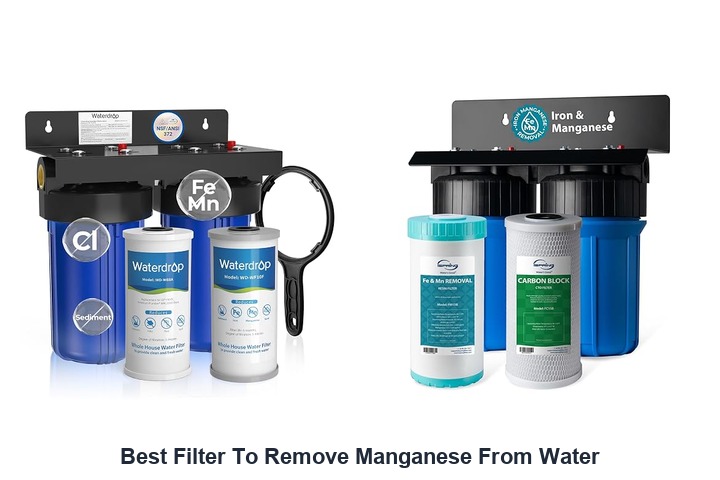 best filter to remove manganese from water