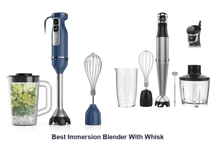 best immersion blender with whisk