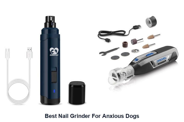 best nail grinder for anxious dogs