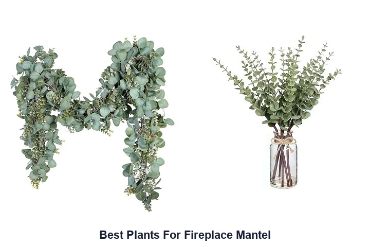 best plants for fireplace mantel