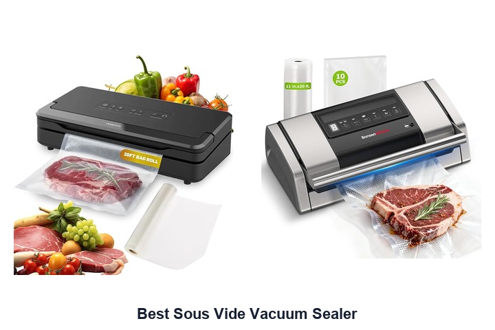 best sous vide vacuum sealer