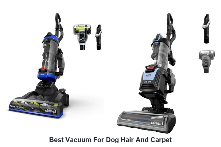 best vacuum for dog hair and carpet