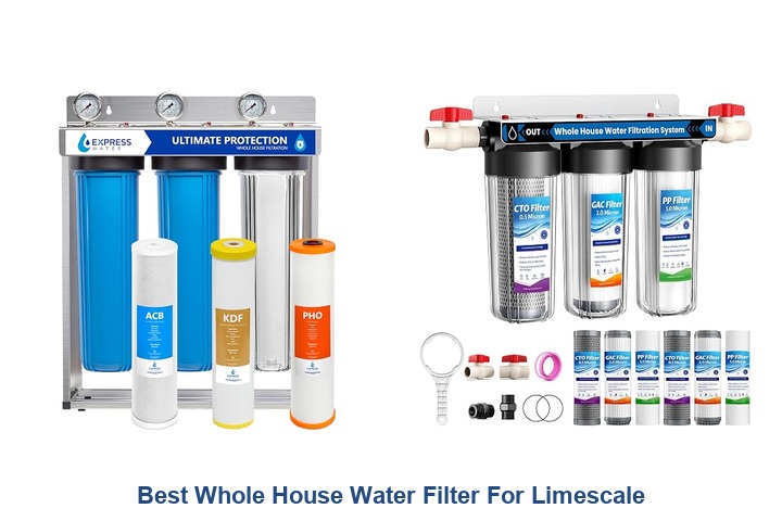 best whole house water filter for limescale