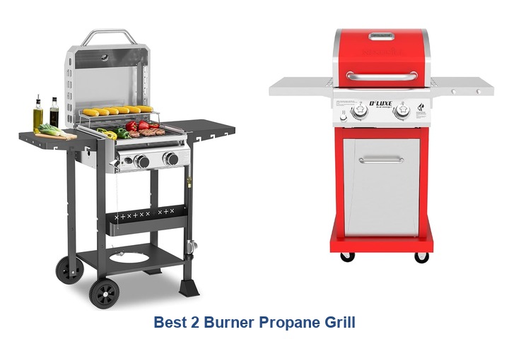 best 2 burner propane grill