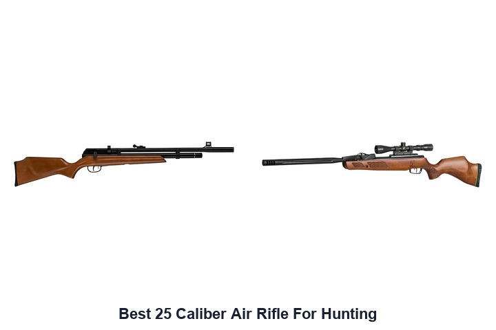 best 25 caliber air rifle for hunting