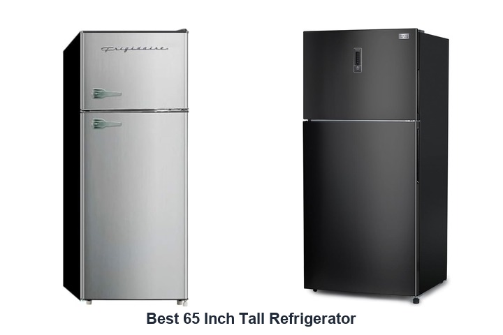 best 65 inch tall refrigerator