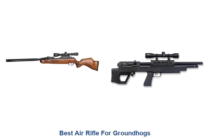 best air rifle for groundhogs