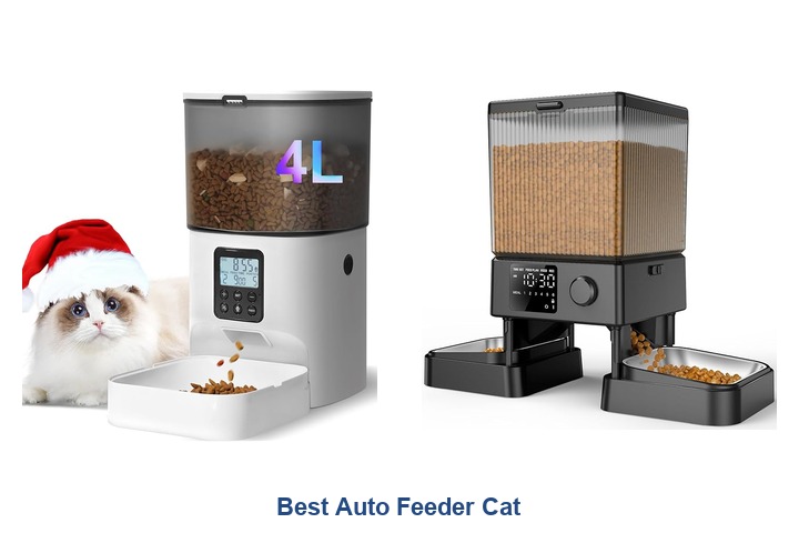 best auto feeder cat