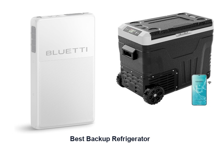 best backup refrigerator
