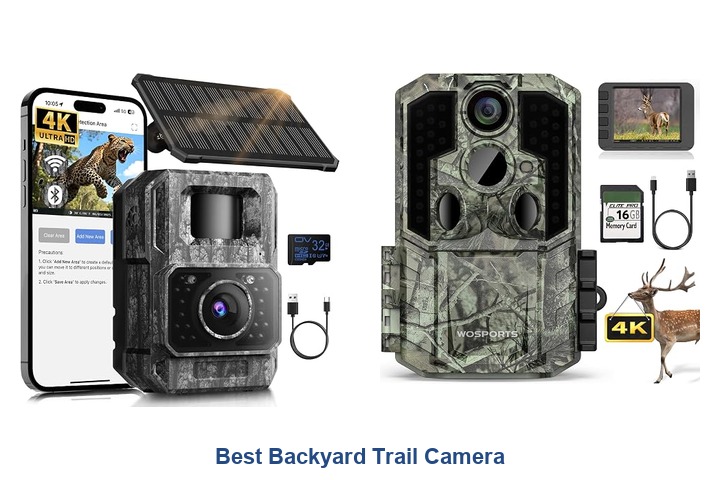 best backyard trail camera