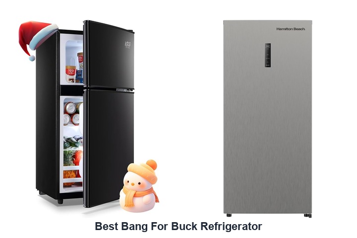 best bang for buck refrigerator