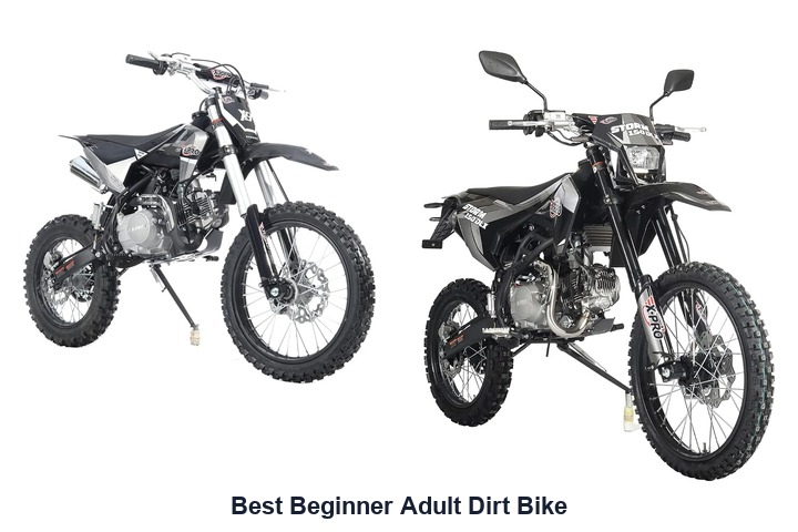 best beginner adult dirt bike