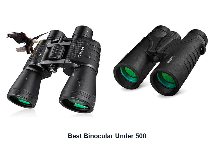 best binocular under 500