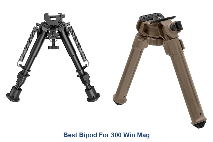 best bipod for 300 win mag