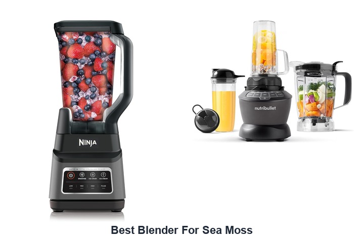 best blender for sea moss