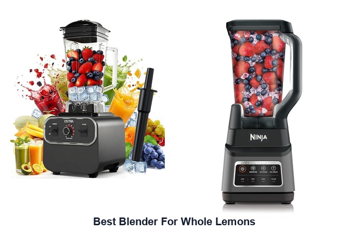 best blender for whole lemons