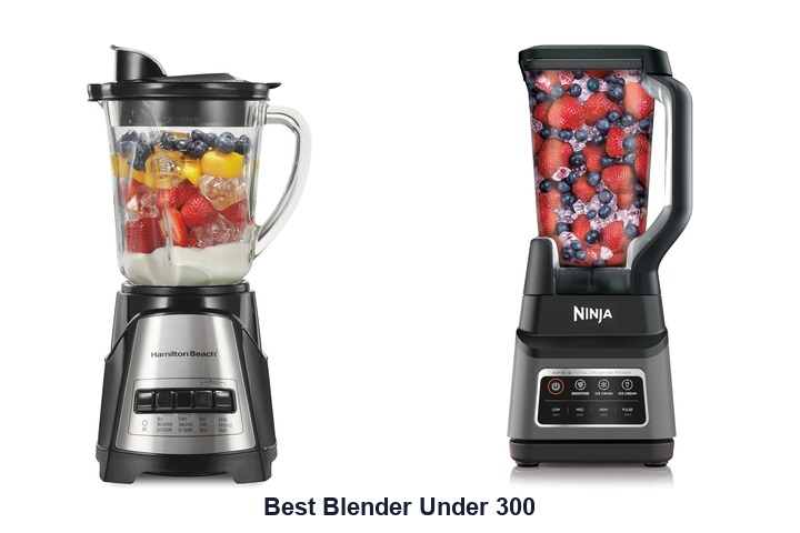 best blender under 300