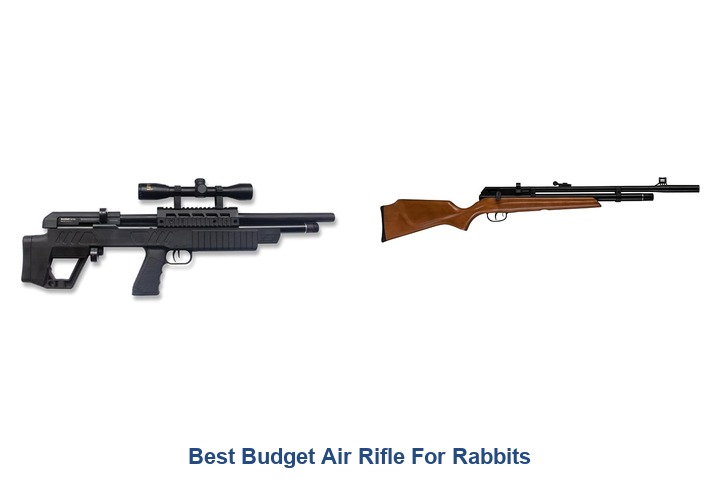 best budget air rifle for rabbits