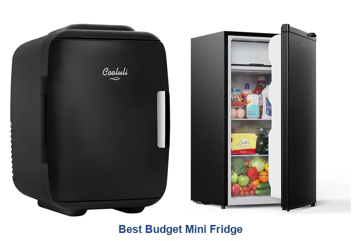 best budget mini fridge​