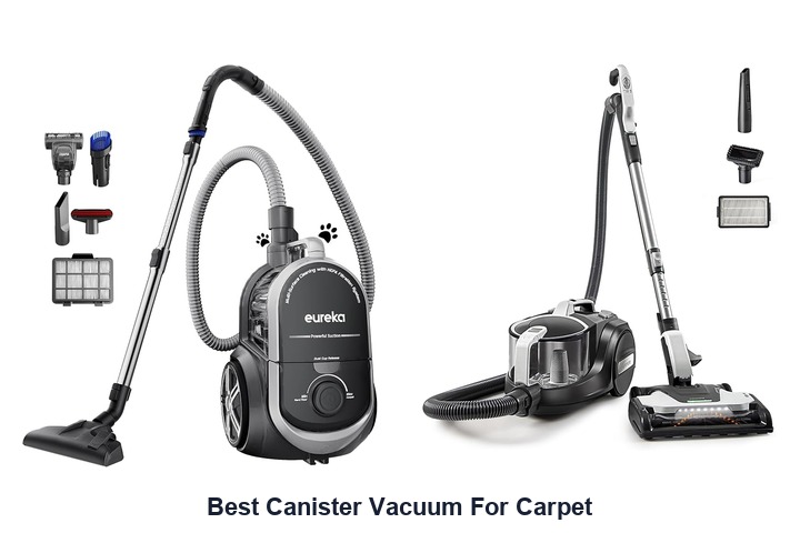 best canister vacuum for carpet