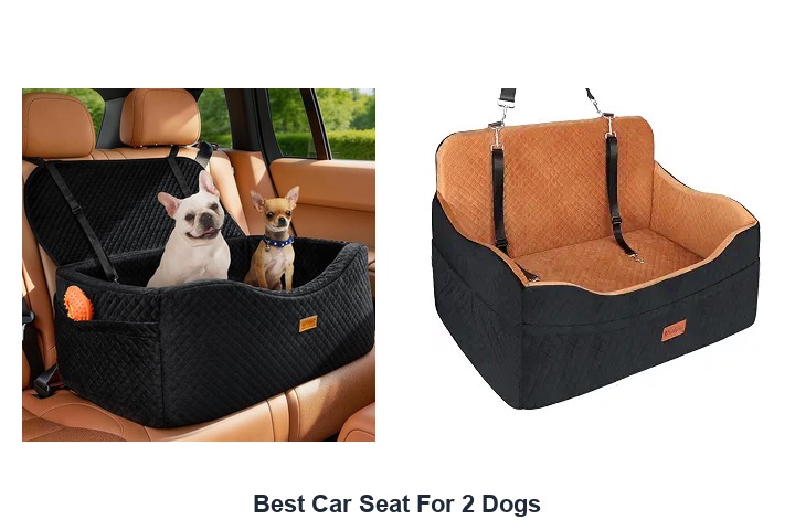 best car seat for 2 dogs