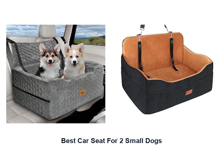 best car seat for 2 small dogs