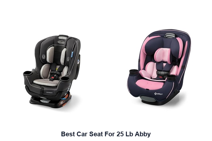 best car seat for 25 lb abby
