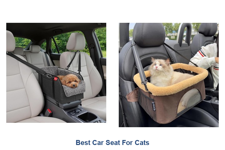 best car seat for cats