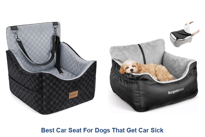best car seat for dogs that get car sick