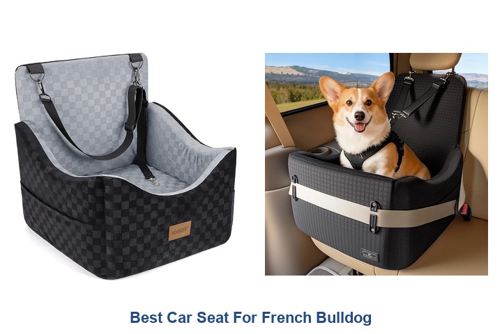best car seat for french bulldog