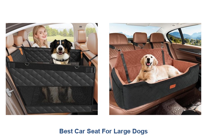 best car seat for large dogs