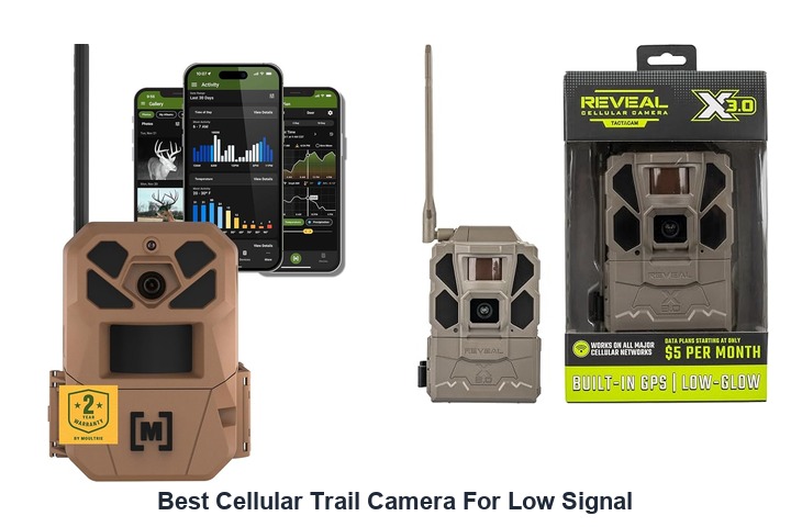 best cellular trail camera for low signal