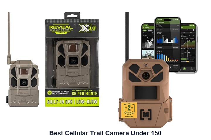 best cellular trail camera under 150