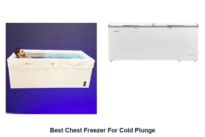 best chest freezer for cold plunge