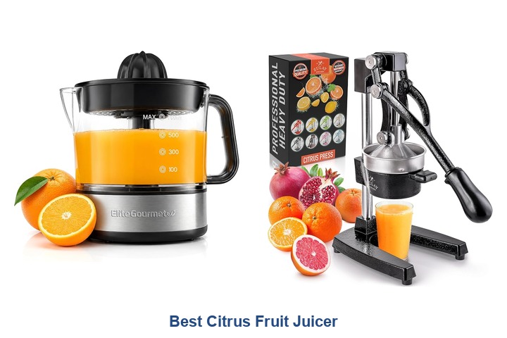 best citrus fruit juicer