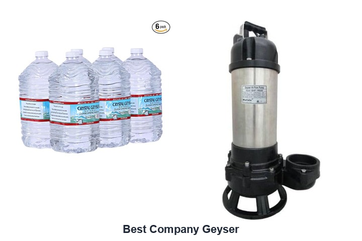 best company geyser