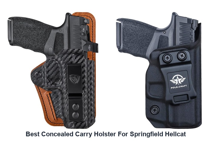 best concealed carry holster for springfield hellcat