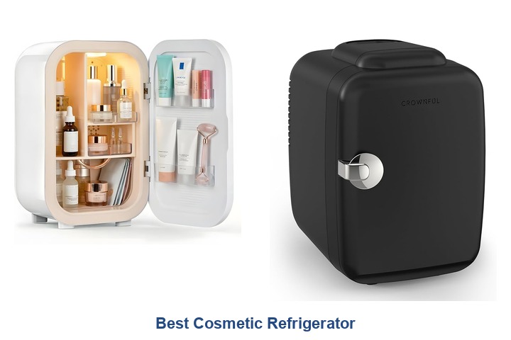best cosmetic refrigerator