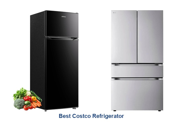 best costco refrigerator