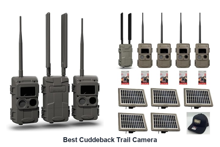 best cuddeback trail camera