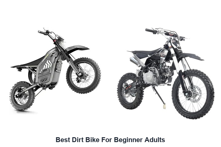 best dirt bike for beginner adults