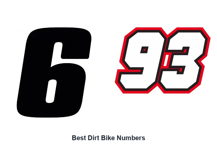 best dirt bike numbers