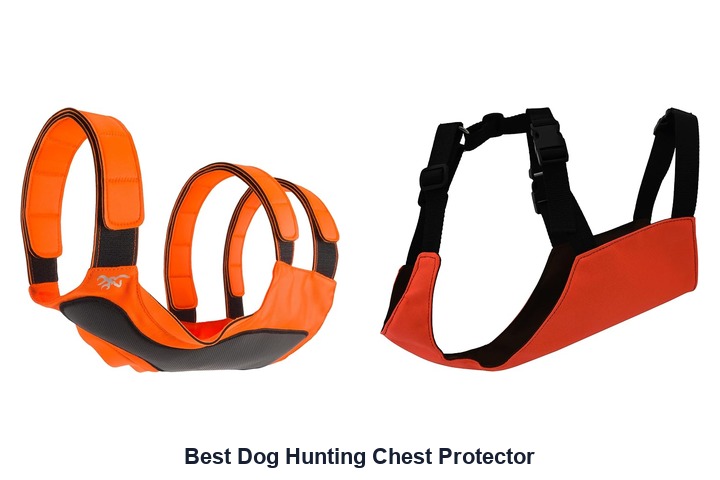 best dog hunting chest protector