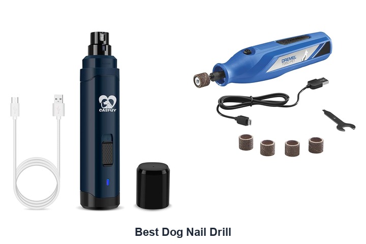 best dog nail drill