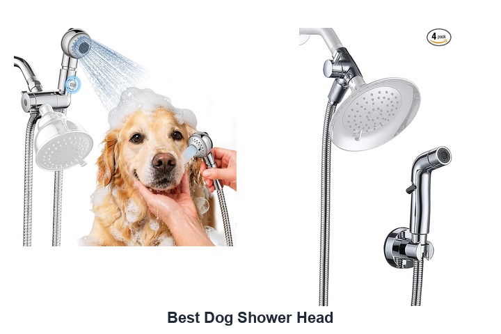 best dog shower head