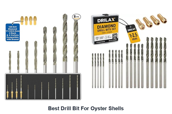 best drill bit for oyster shells